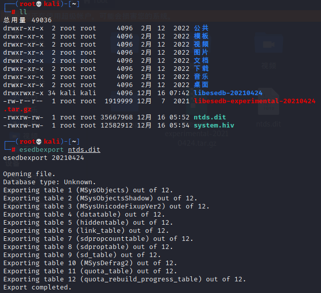 image-20221216205335978