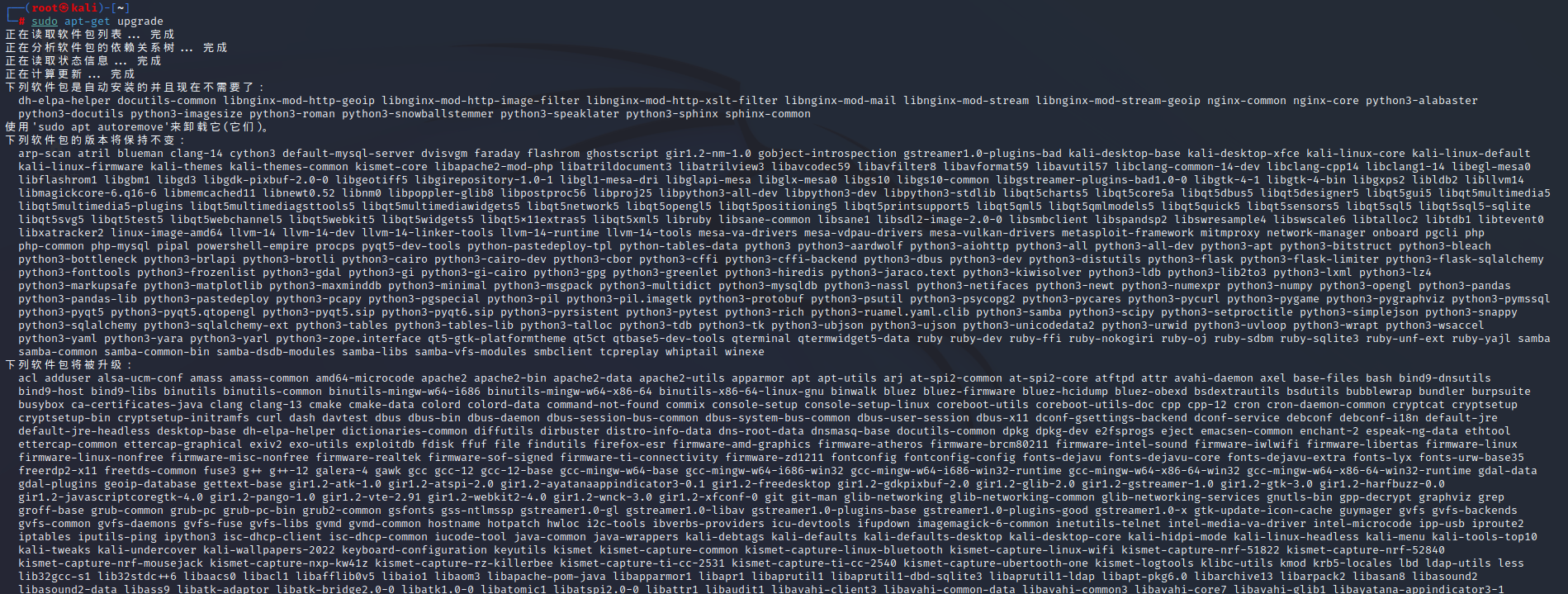 image-20230310131807214